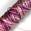 Special Dyes of Kanagawa Anaito 1000 Denier 100% Silk Embroidery Thread